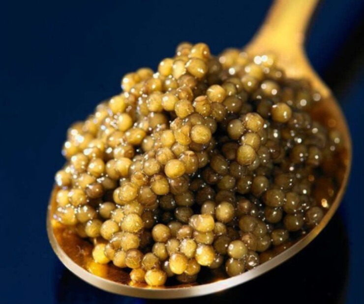 Caviar Kaluga Queen