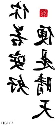 Tatuaje Temporal Impermeable de Letras Chinas