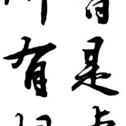 tatuajes temporales adhesivos caligrafía china